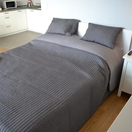 アパート Morski Vi ダルウフコ