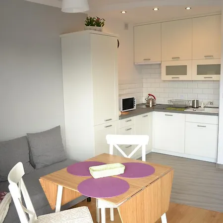 アパート Morski Vi ダルウフコ