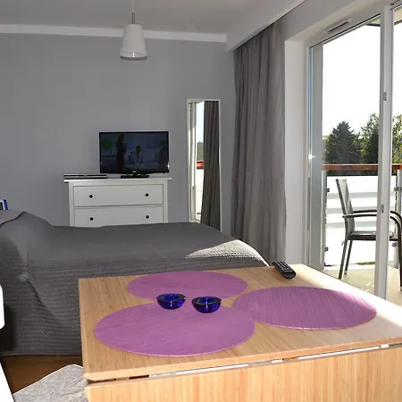 アパート Morski Vi ダルウフコ